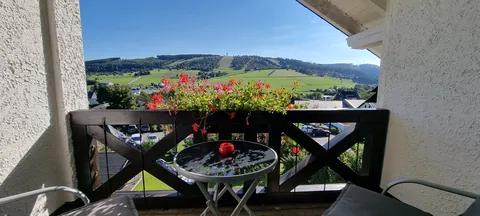 Balkon mit Blumenkasten und Blick über Willingen