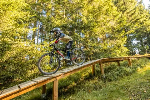 Holzrampe im Wald im Bikepark Willingen (Foto: Stephan Peters Design)