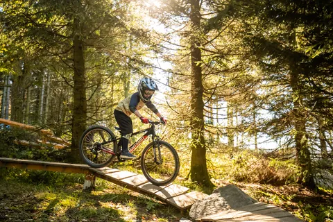Trail im sonnigen Wald im Bikepark Willingen (Foto: Stephan Peters Design)