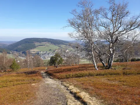 Wanderweg über die Hochheide mit Blick auf Willingen