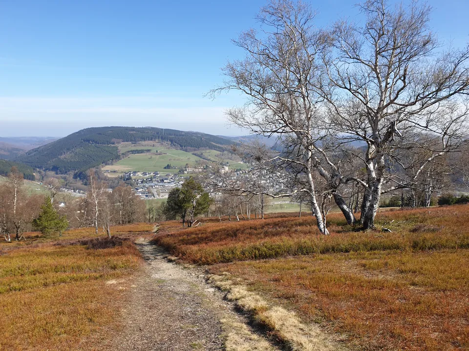 Wanderweg über die Hochheide mit Blick auf Willingen