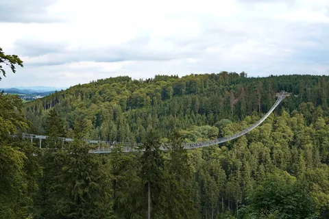 Der Skywalk Willingen, die lange Hängebrücke über dem bewaldeten Tal